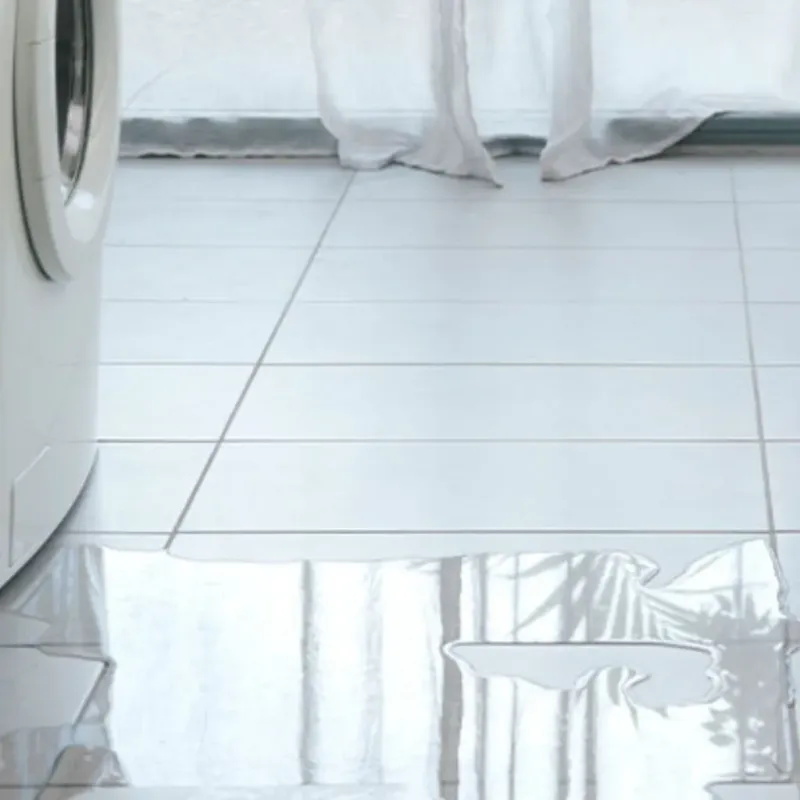 Appliance Leak Cleanup in Rothschild, WI