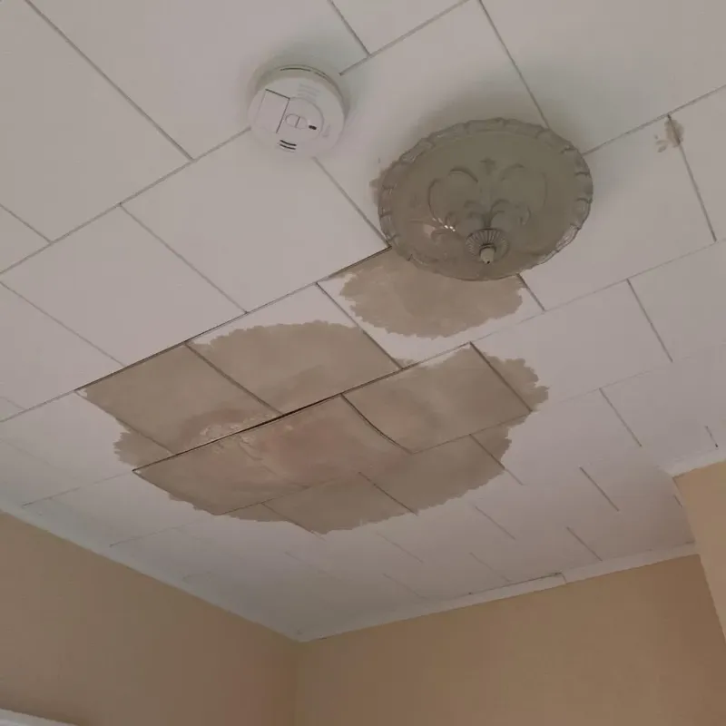Ceiling Water Damage Repair in Rothschild, WI