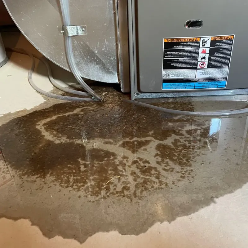Pipe Burst and Leak Restoration in Rothschild, WI
